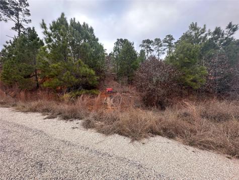 Lot 173 / R32210 Keo Kea Court Bastrop TX 78602