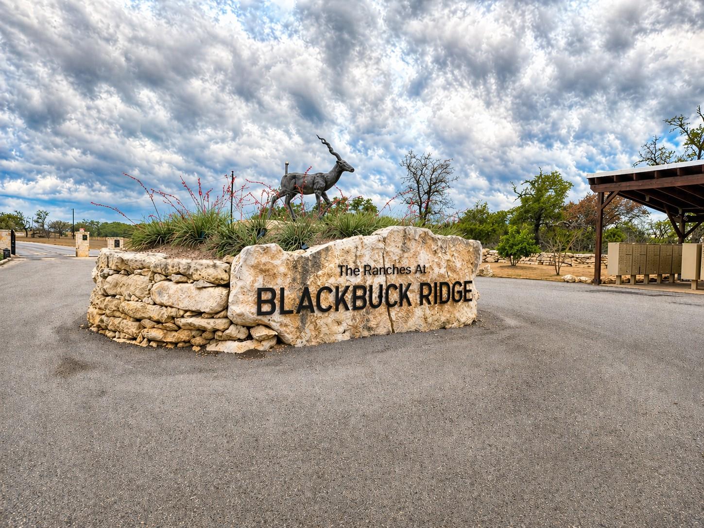 Lot 162 Addax Court Lampasas TX 76550