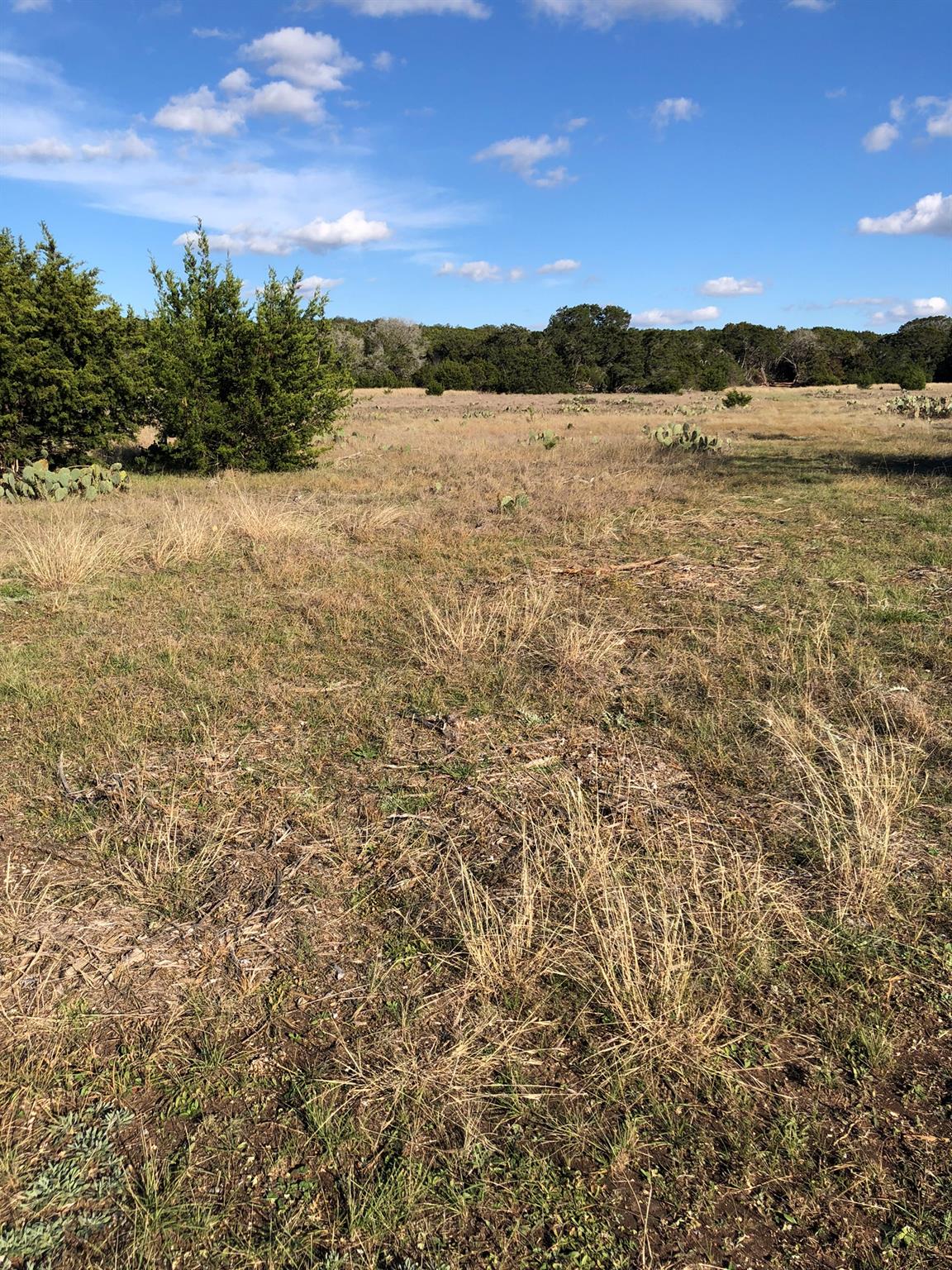Lot 162 Addax Court Lampasas TX 76550