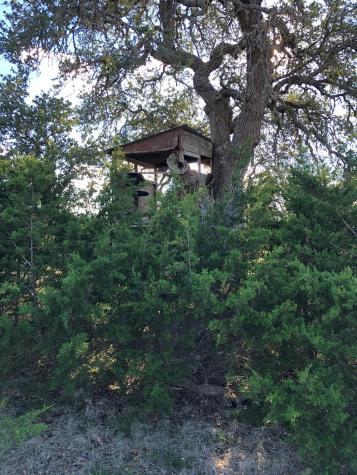 Lot 162 Addax Court Lampasas TX 76550