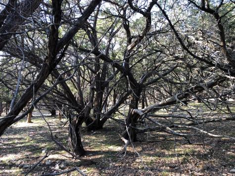 Lot 162 Addax Court Lampasas TX 76550
