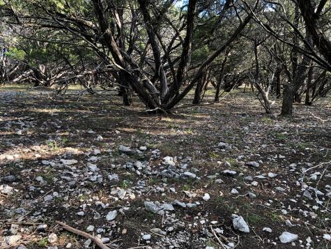 Lot 162 Addax Court Lampasas TX 76550
