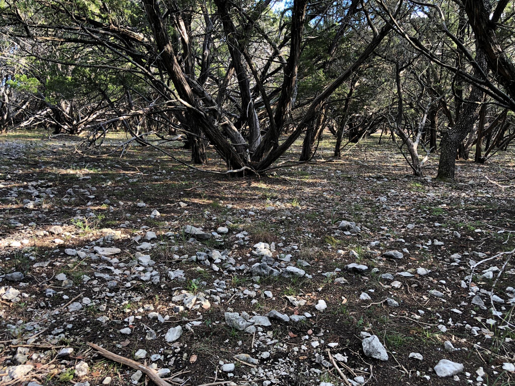 Lot 162 Addax Court Lampasas TX 76550