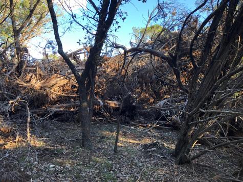 Lot 162 Addax Court Lampasas TX 76550