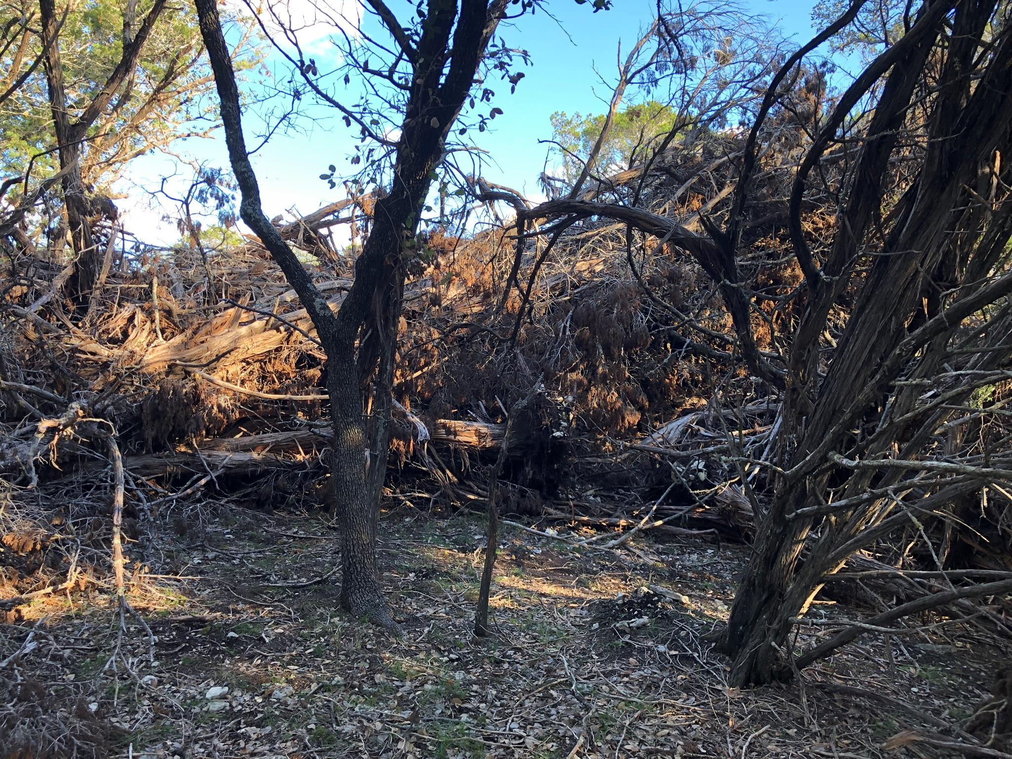 Lot 162 Addax Court Lampasas TX 76550