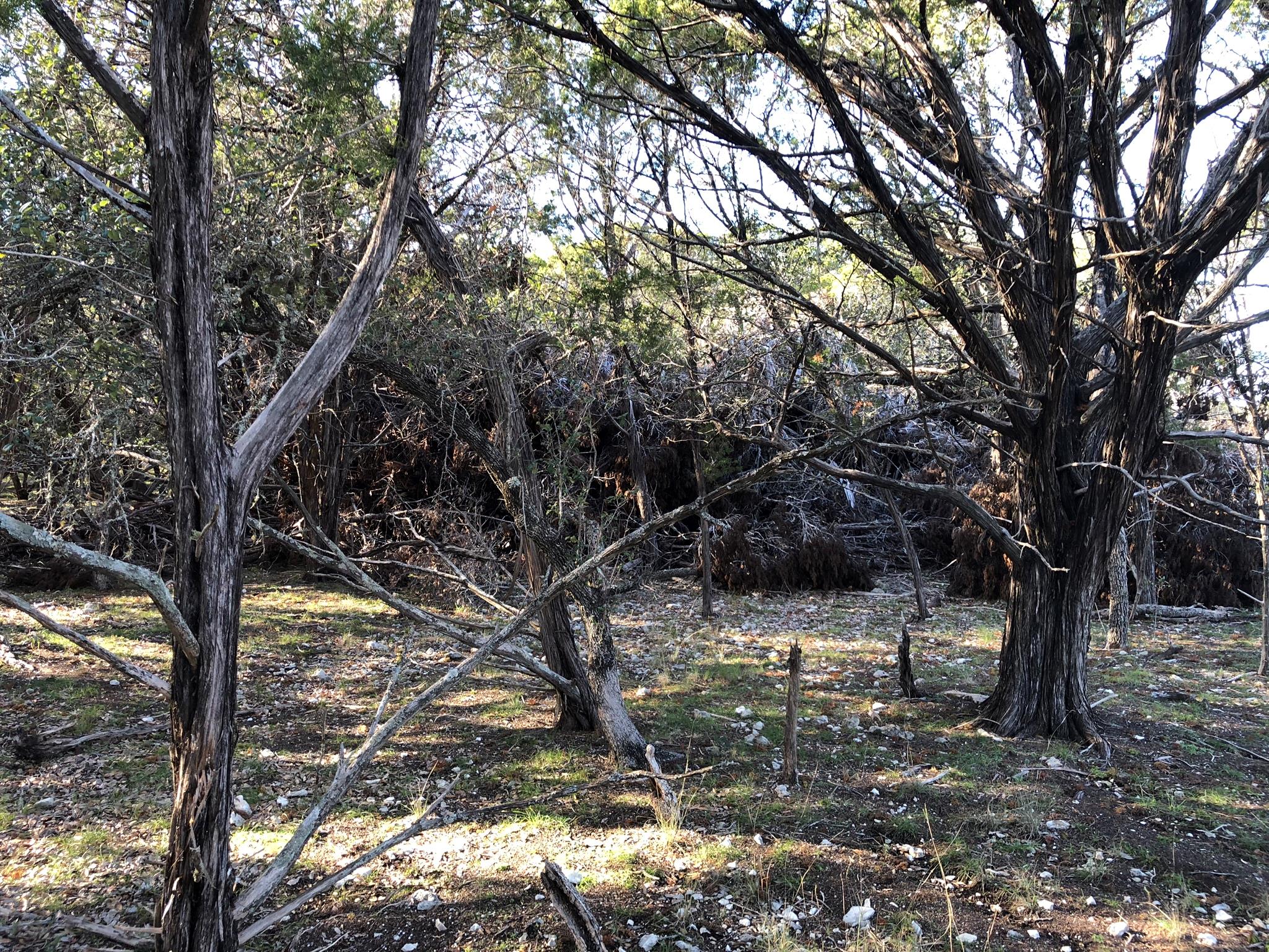 Lot 162 Addax Court Lampasas TX 76550