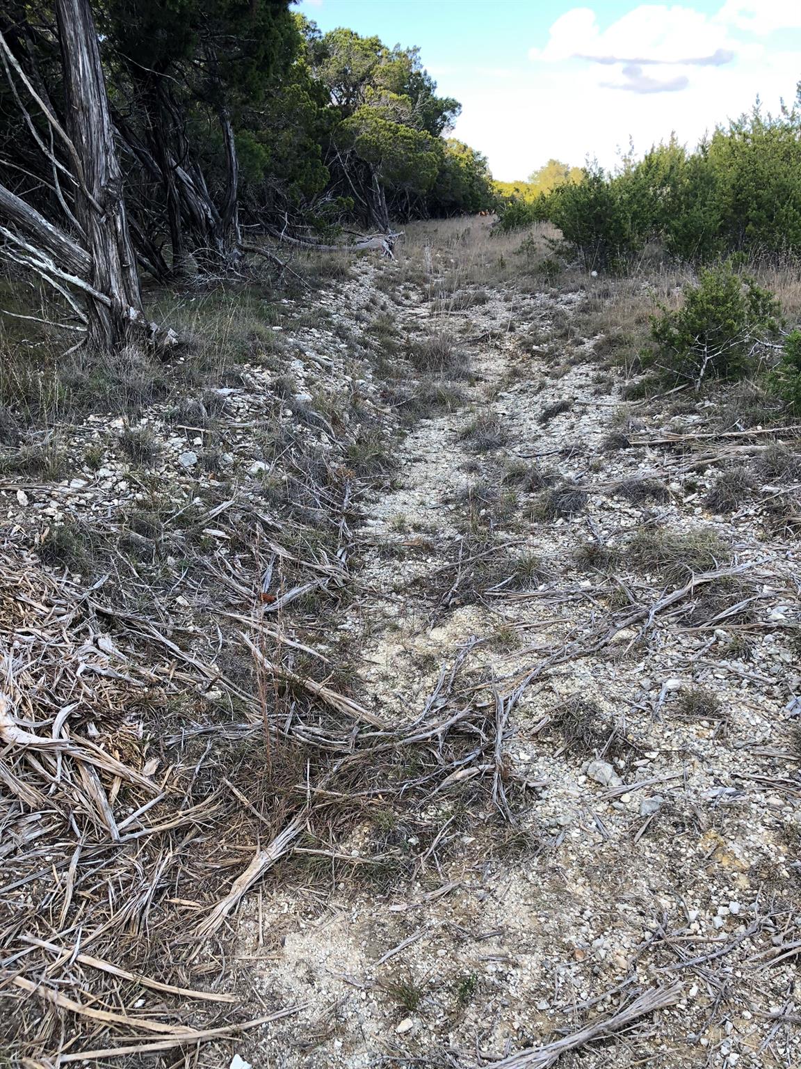 Lot 162 Addax Court Lampasas TX 76550