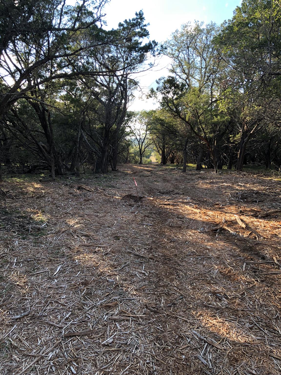 Lot 162 Addax Court Lampasas TX 76550