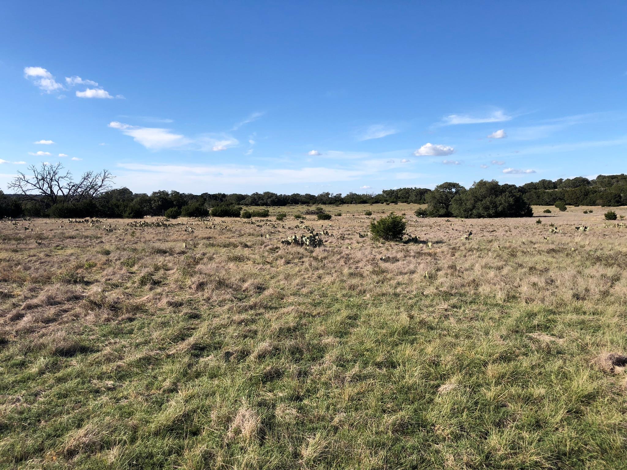 Lot 162 Addax Court Lampasas TX 76550