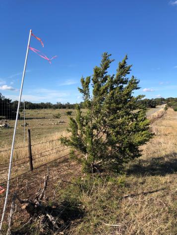 Lot 162 Addax Court Lampasas TX 76550