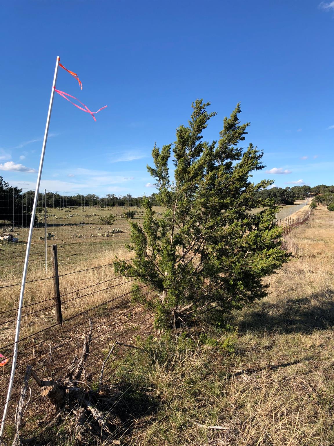 Lot 162 Addax Court Lampasas TX 76550