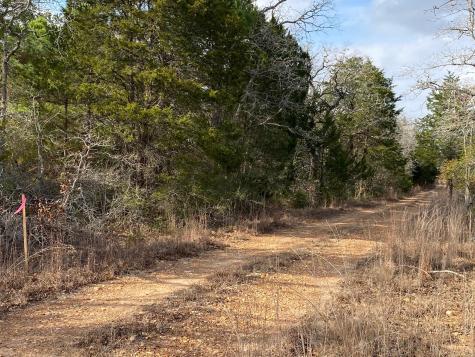 Tbd Pine Street Paige TX 78659