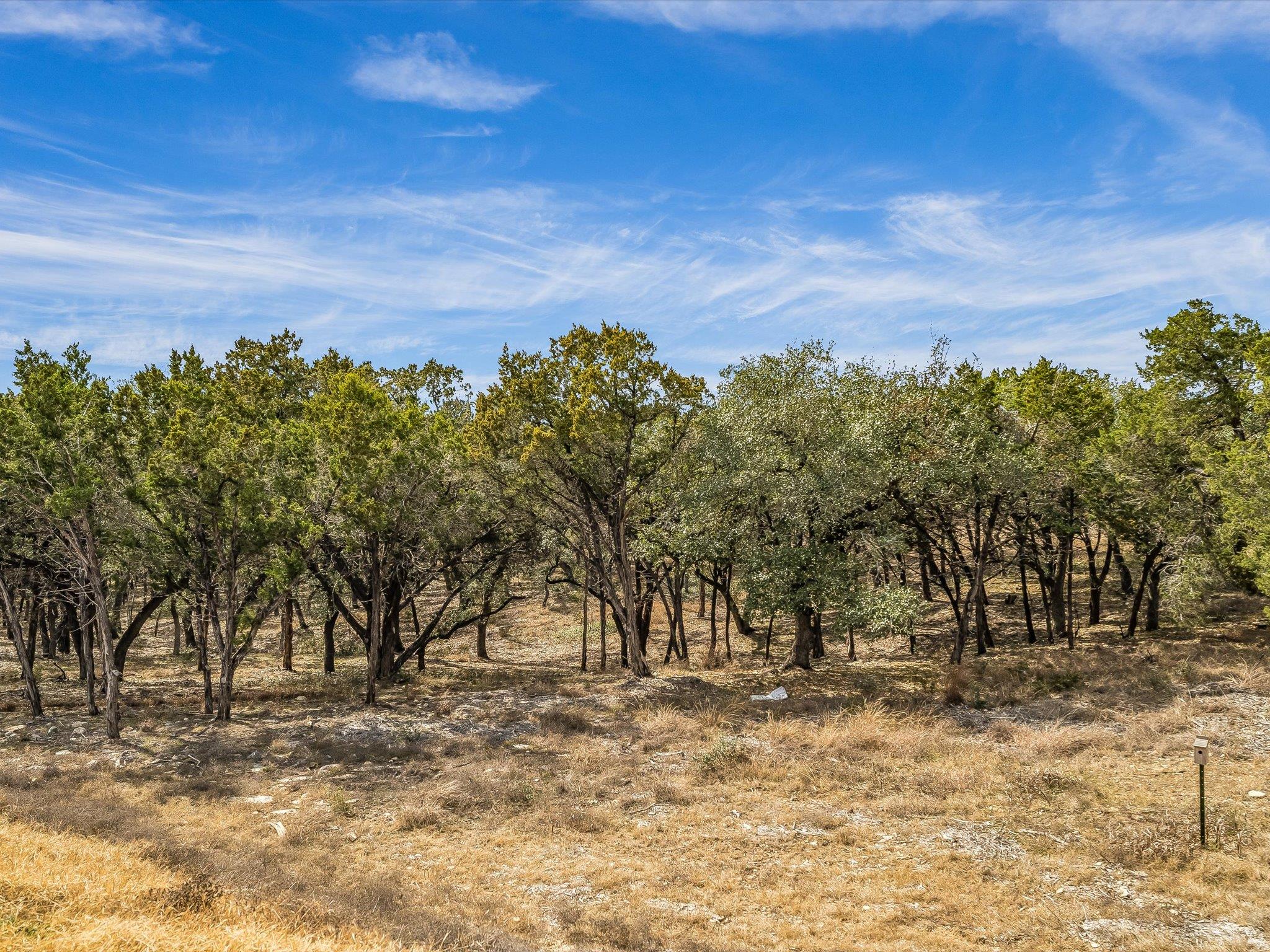 0 Moonridge Lane Wimberley TX 78676