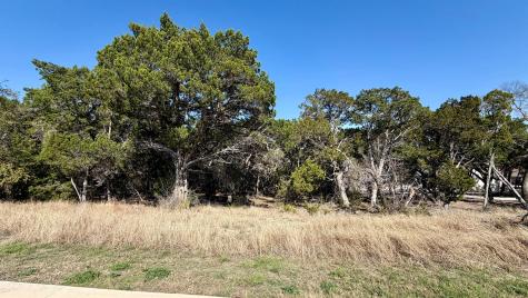 4513 Destination Way Jonestown TX 78645