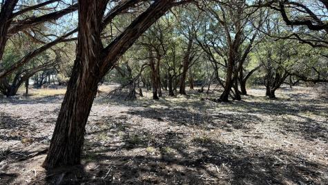 4513 Destination Way Jonestown TX 78645
