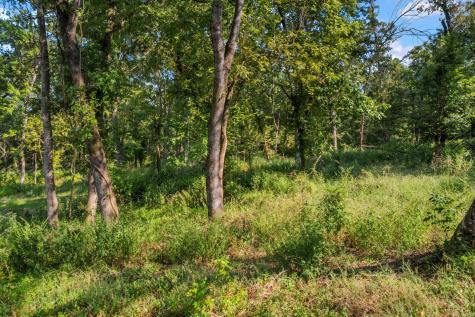 Tbd Lake Oaks Circle Coldspring TX 77331