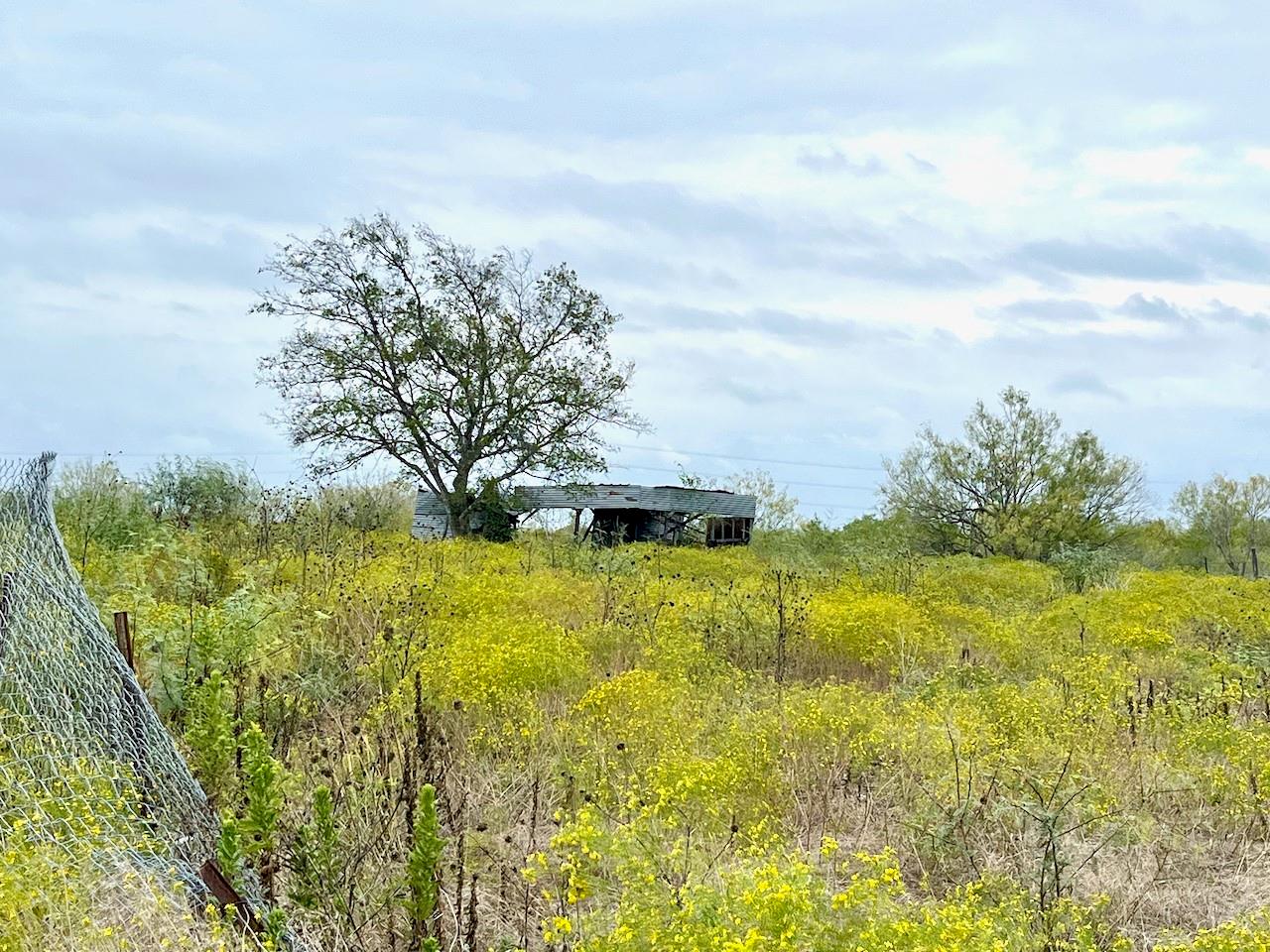 11604 Moore Road Austin TX 78719