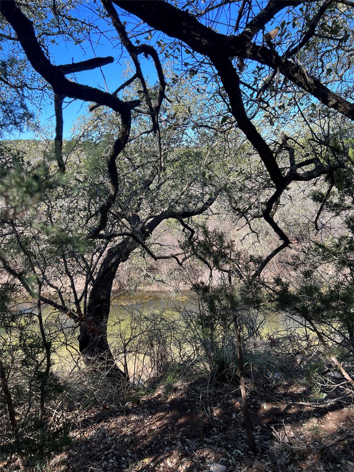 555 River Run Leander TX 78641