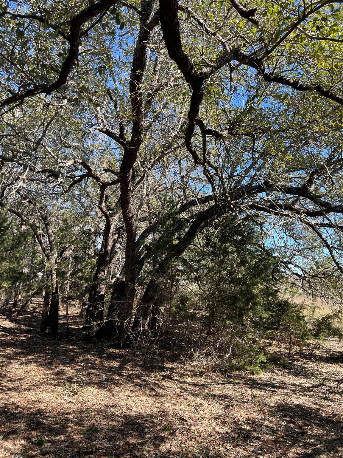 555 River Run Leander TX 78641