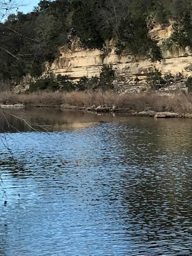 555 River Run Leander TX 78641
