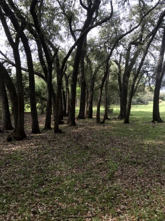 555 River Run Leander TX 78641