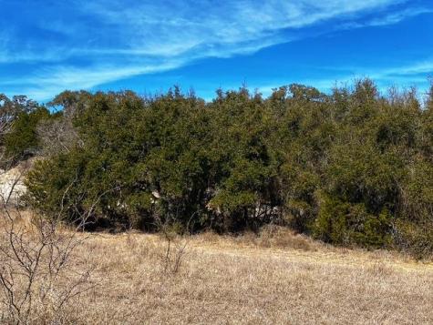 Tbd 000 County Road 2699 Goldthwaite TX 76853