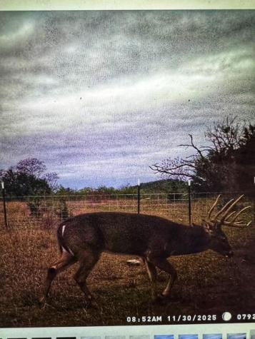 Tbd 000 County Road 2699 Goldthwaite TX 76853