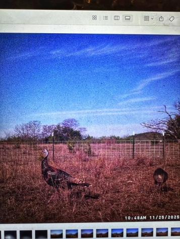 Tbd 000 County Road 2699 Goldthwaite TX 76853