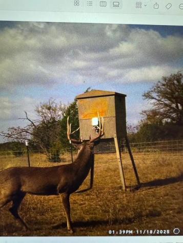 Tbd 000 County Road 2699 Goldthwaite TX 76853