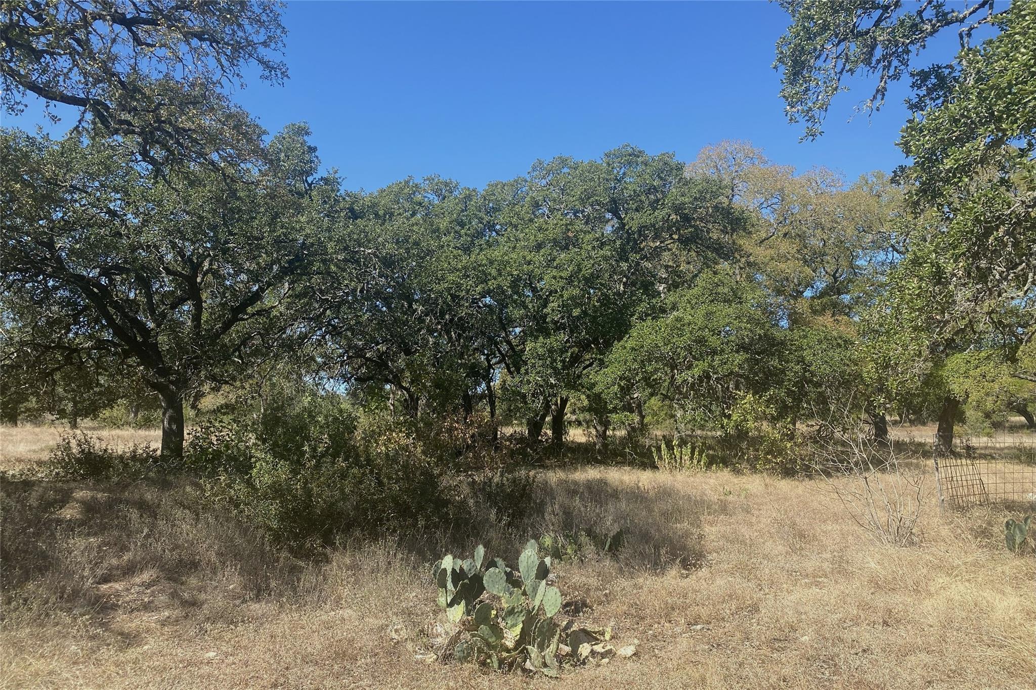 0 Spoke Hollow Road Wimberley TX 78676