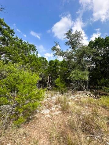 Tbd Lot 4 Royal Eagle Drive Fischer TX 78623