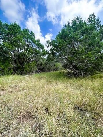 Tbd Lot 4 Royal Eagle Drive Fischer TX 78623