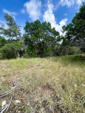 Tbd Lot 4 Royal Eagle Drive Fischer TX 78623