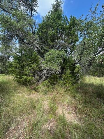 Tbd Lot 4 Royal Eagle Drive Fischer TX 78623