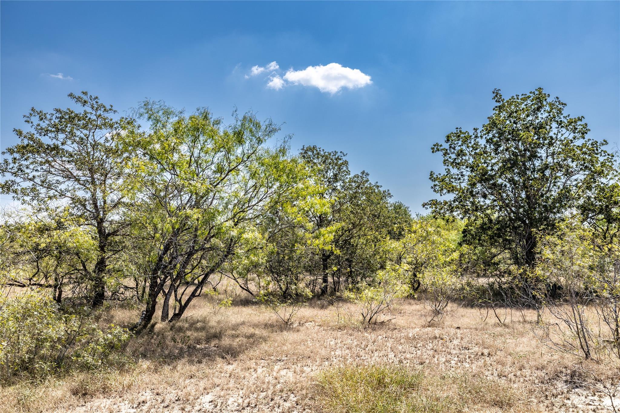 Tbd Lot 4 Track Road Dale TX 78616