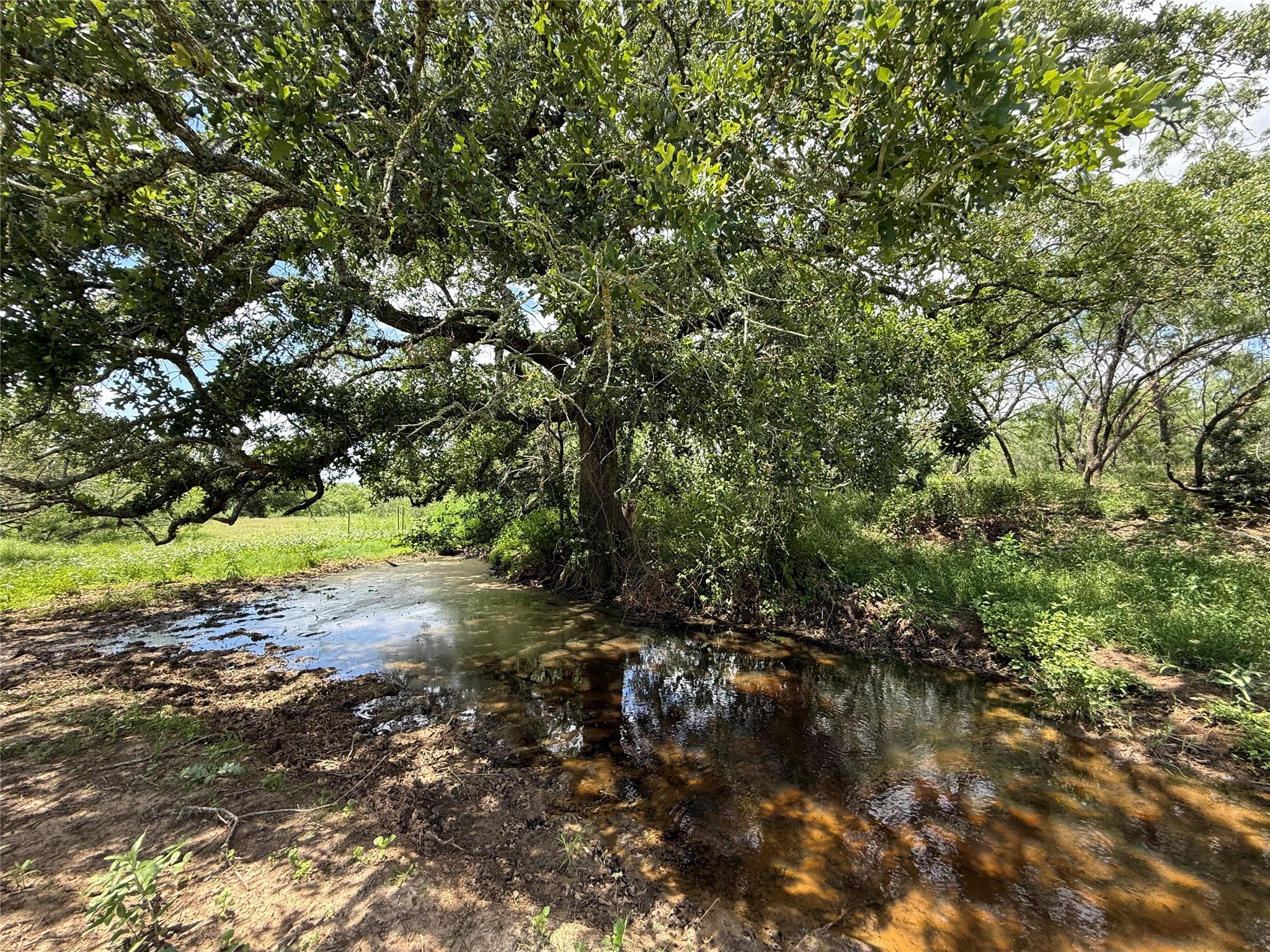 Tbd Pettytown Road Red Rock TX 78662