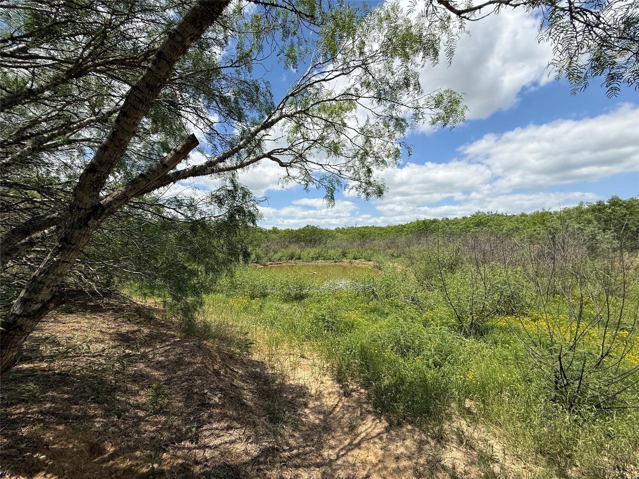 Tbd Pettytown Road Red Rock TX 78662