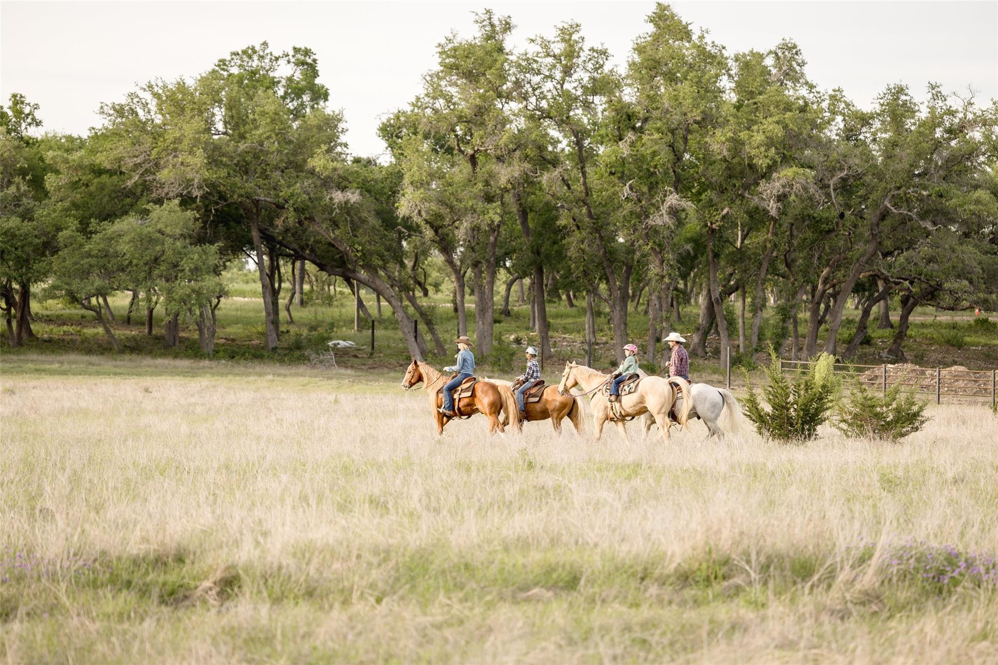 #26 Mesa Ranch Road Dripping Springs TX 78620