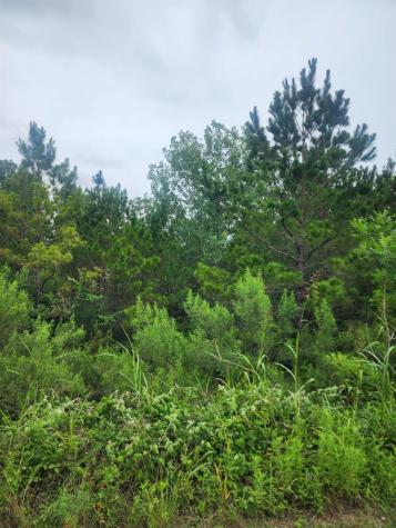 Lot 70 Lakeside Drive Bastrop TX 78602
