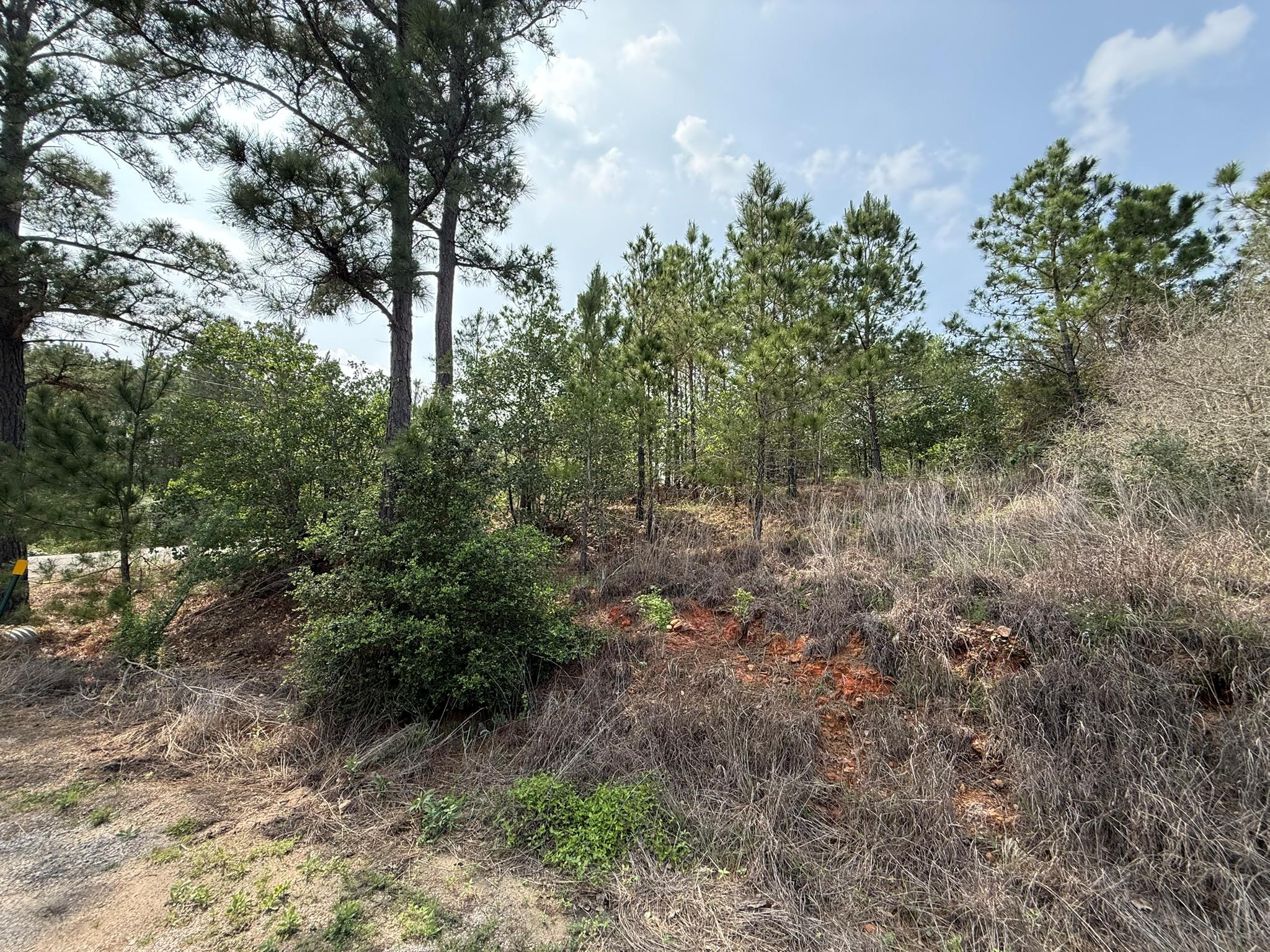 Lot 70 Lakeside Drive Bastrop TX 78602
