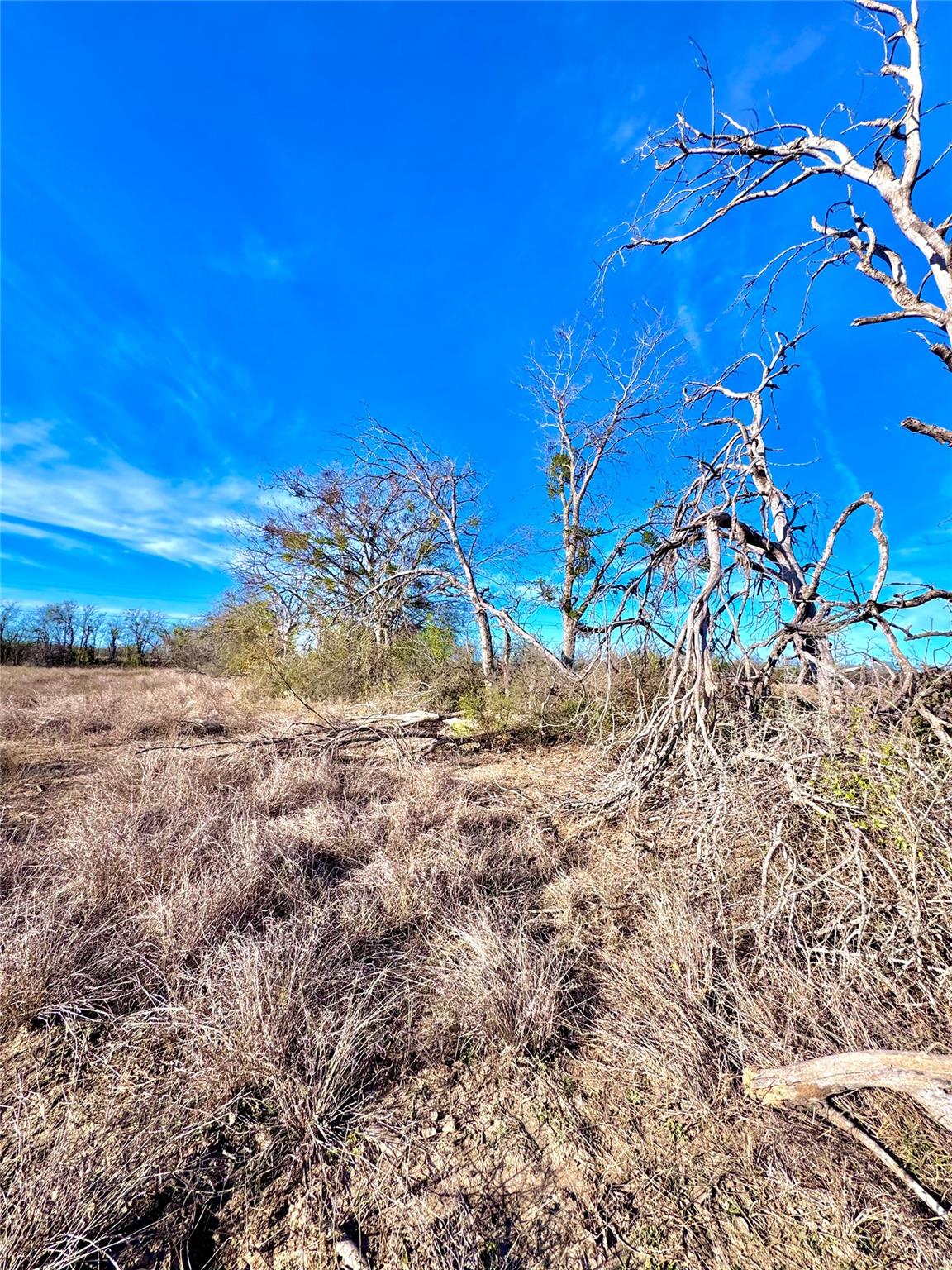 Tbd Tract H Scull Road Martindale TX 78655