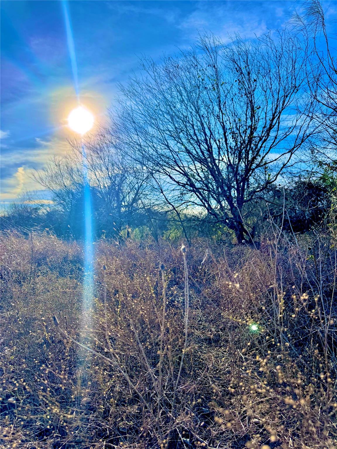 Tbd Tract H Scull Road Martindale TX 78655