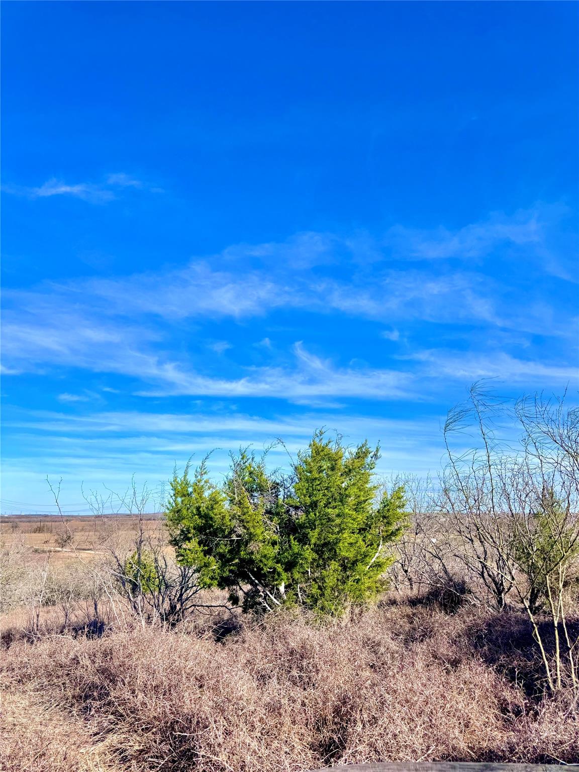 Tbd Tract H Scull Road Martindale TX 78655