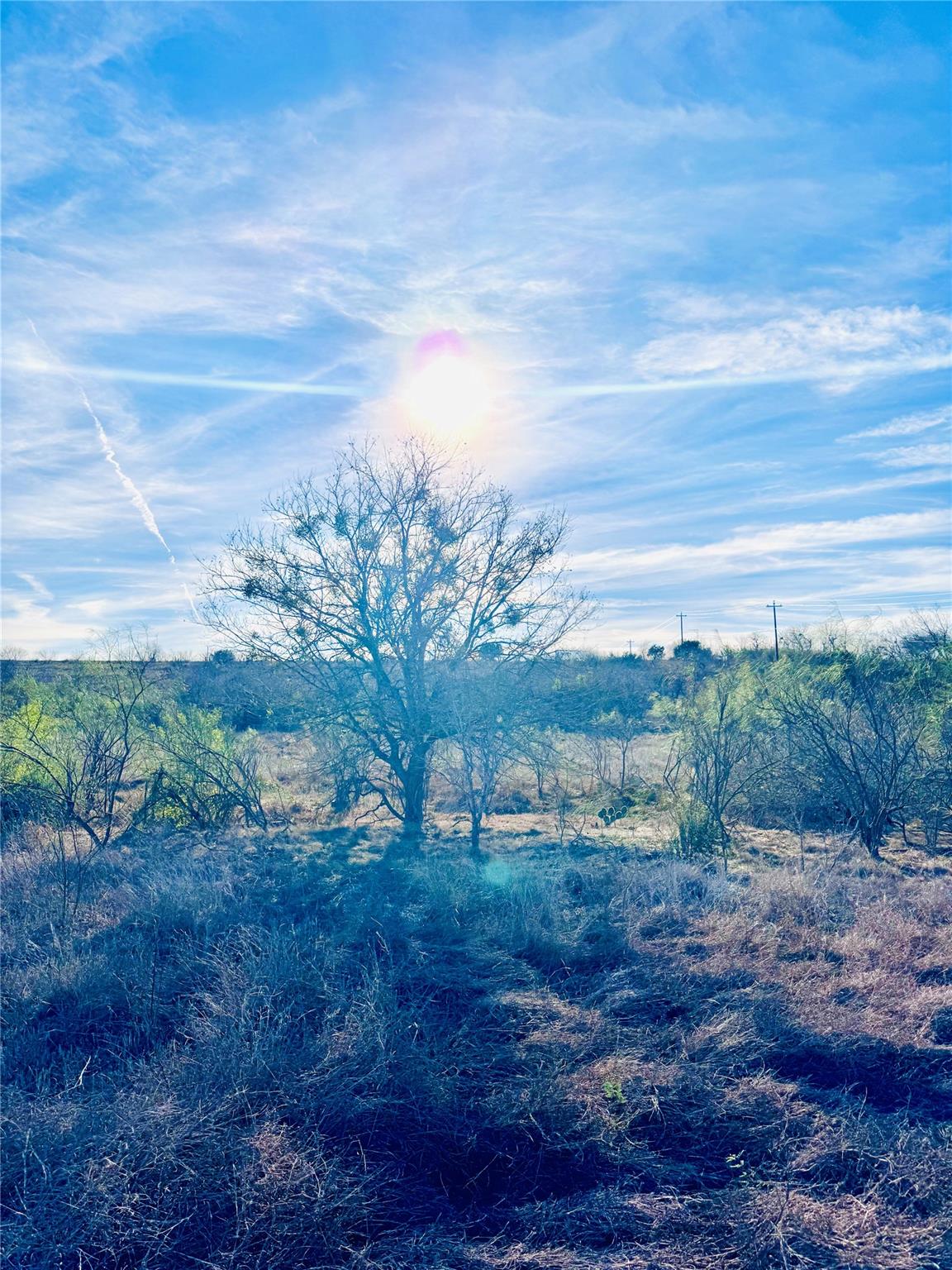 Tbd Tract H Scull Road Martindale TX 78655
