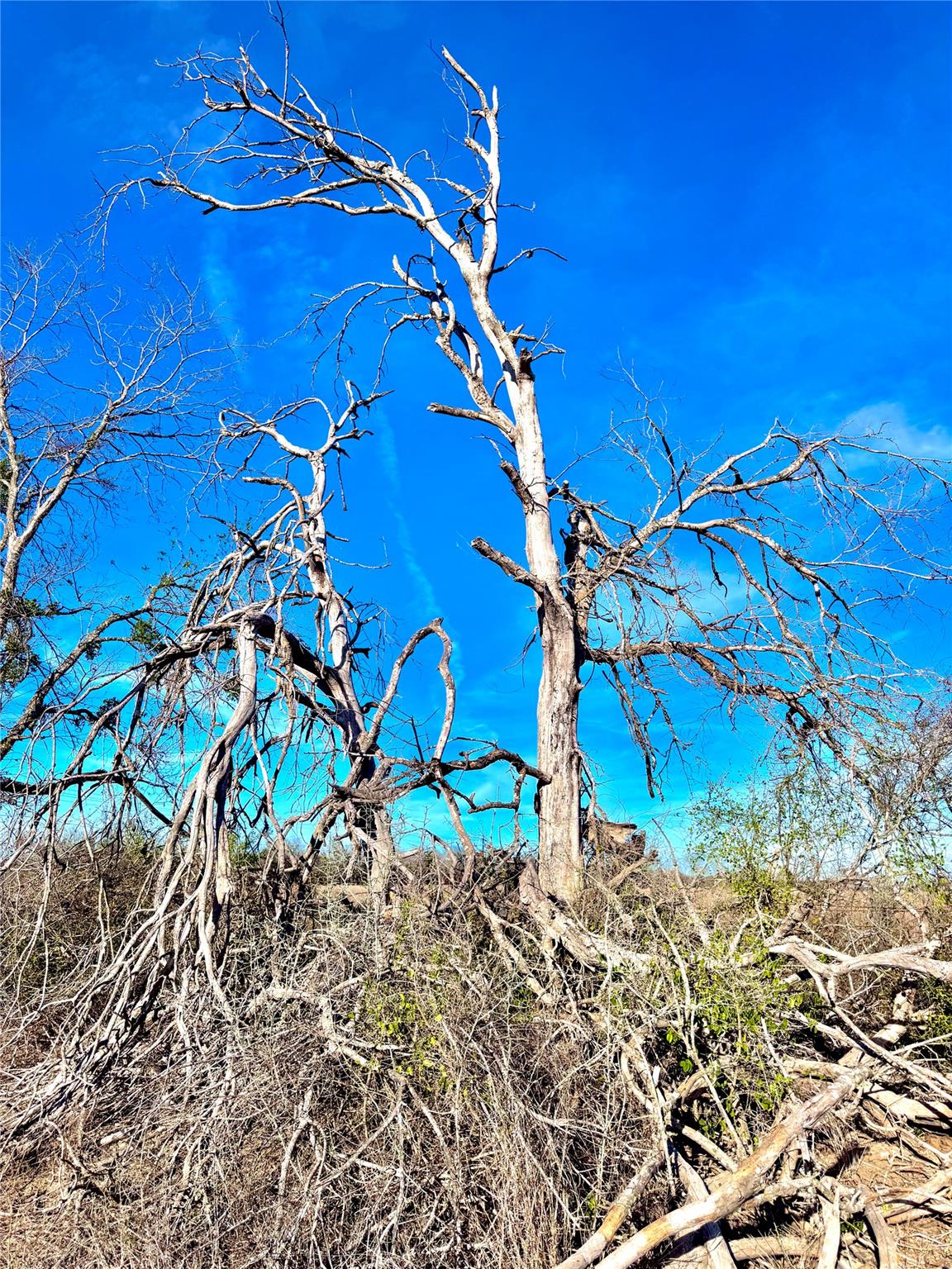 Tbd Tract H Scull Road Martindale TX 78655