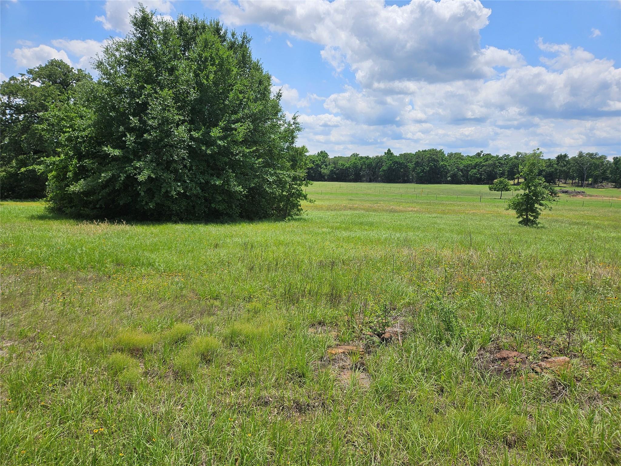 000 Tbd Cr 346 Road Milano TX 76556