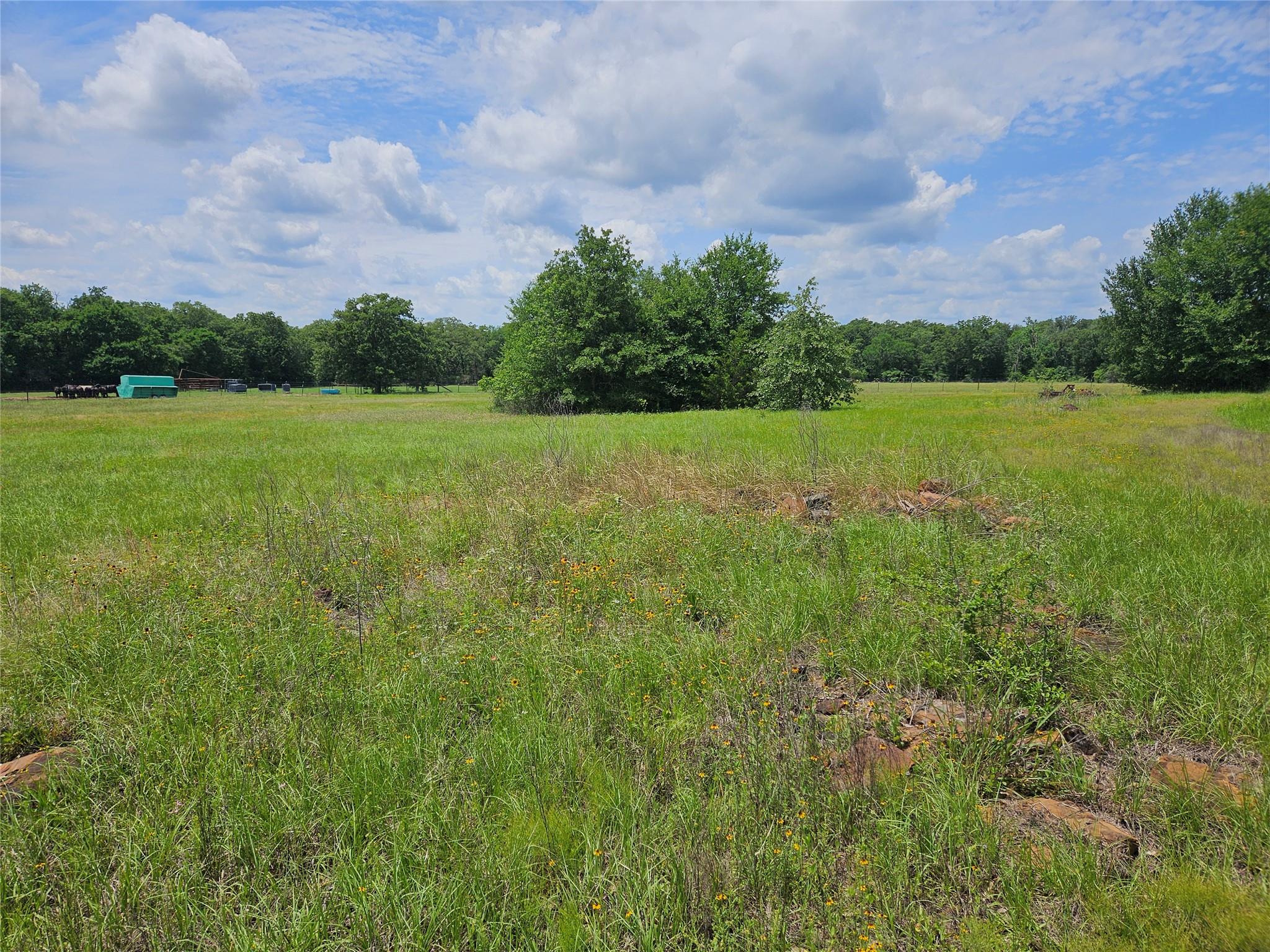 000 Tbd Cr 346 Road Milano TX 76556