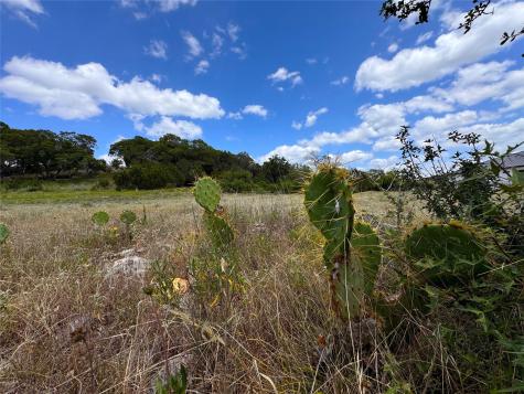 329 Arthur Court Spring Branch TX 78070