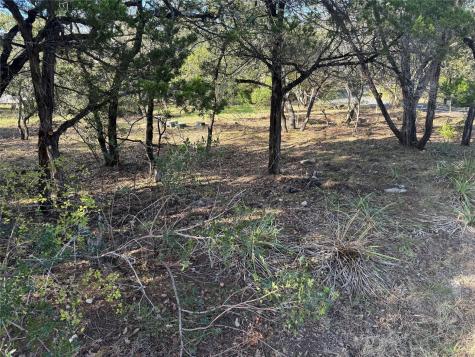 15701 Wildwood Trail Austin TX 78734