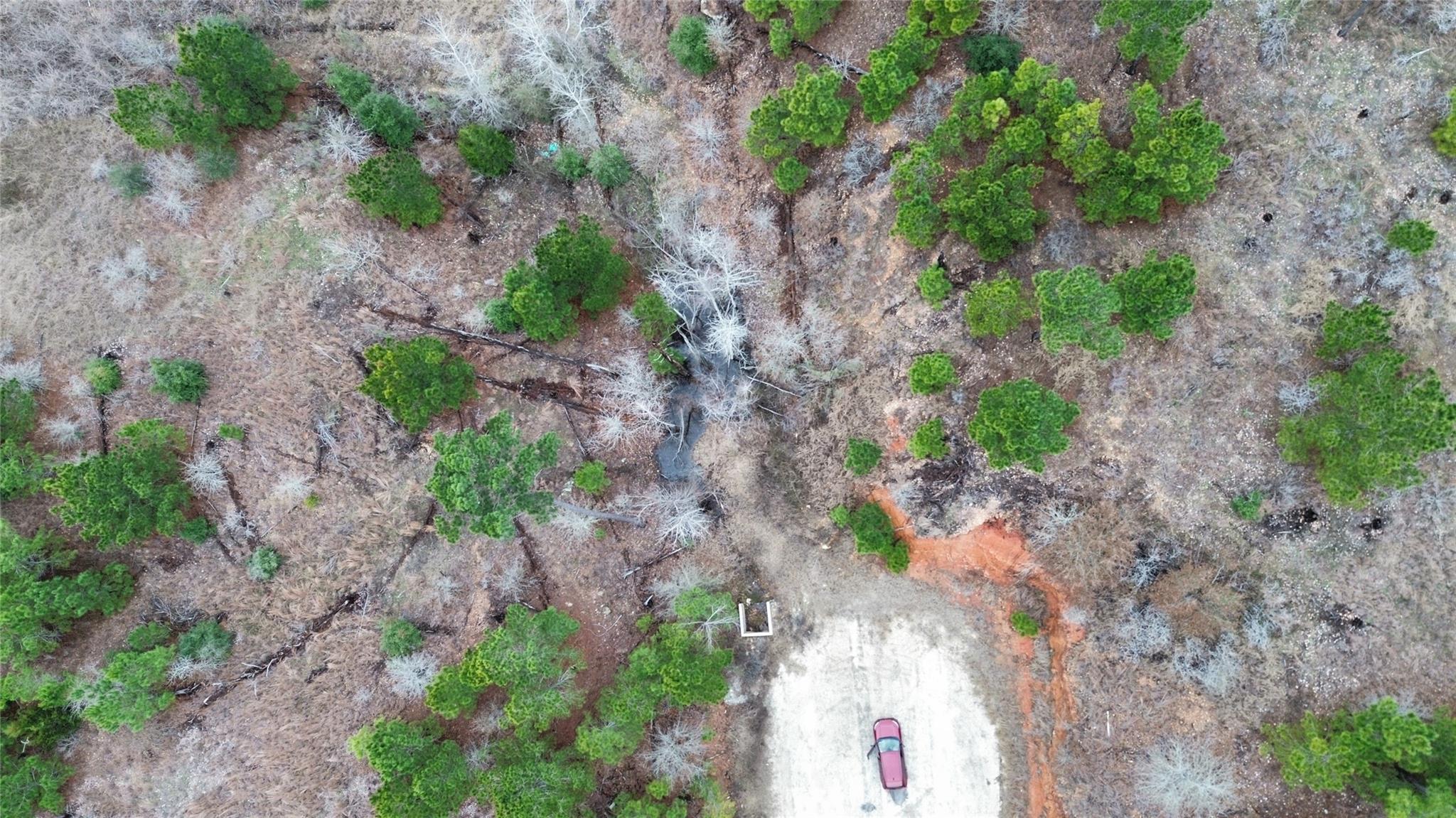 Lot 178 / R32255 Keo Kea Court Bastrop TX 78602
